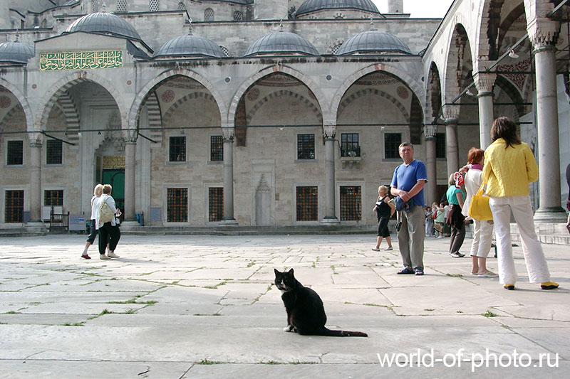 Голубая мечеть в Стамбуле фото
